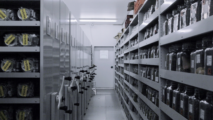 A shot from inside London's Millennium Seed Bank, in the 2018 video work The Ague by artist Pilar Mata Dupont