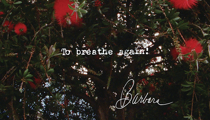 Foliage with text overlay to breath again