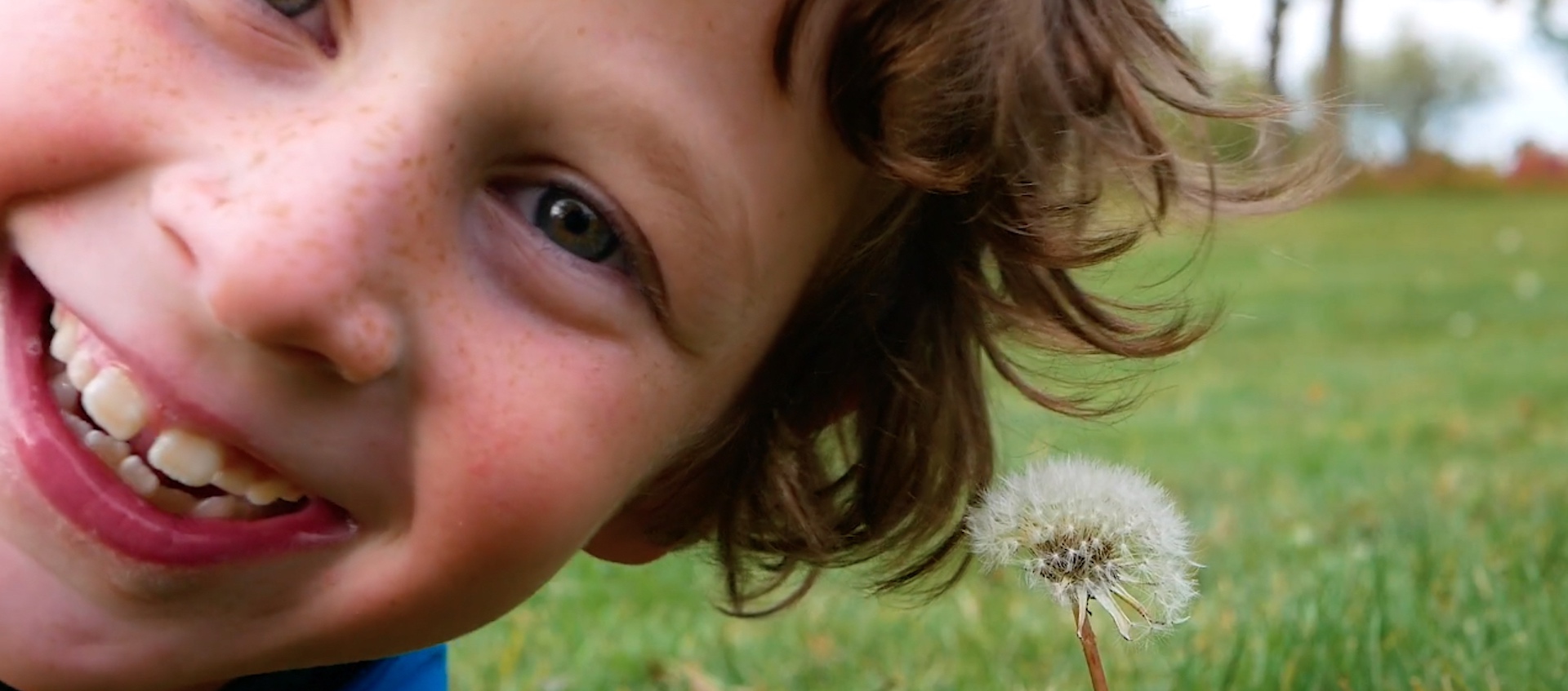 A young white boy in close-up lies in the grass next to a dandelion, staring directly into the camera, in a scene from the short film Blink of an Eye by Ohio State University student Maya Neyman
