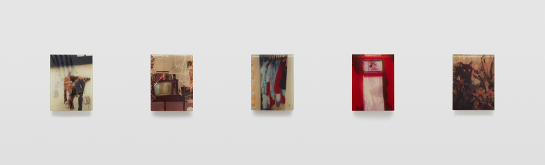 Five discrete mixed media panels that make up sequence two of artist Sadie Benning's Pain Thing
