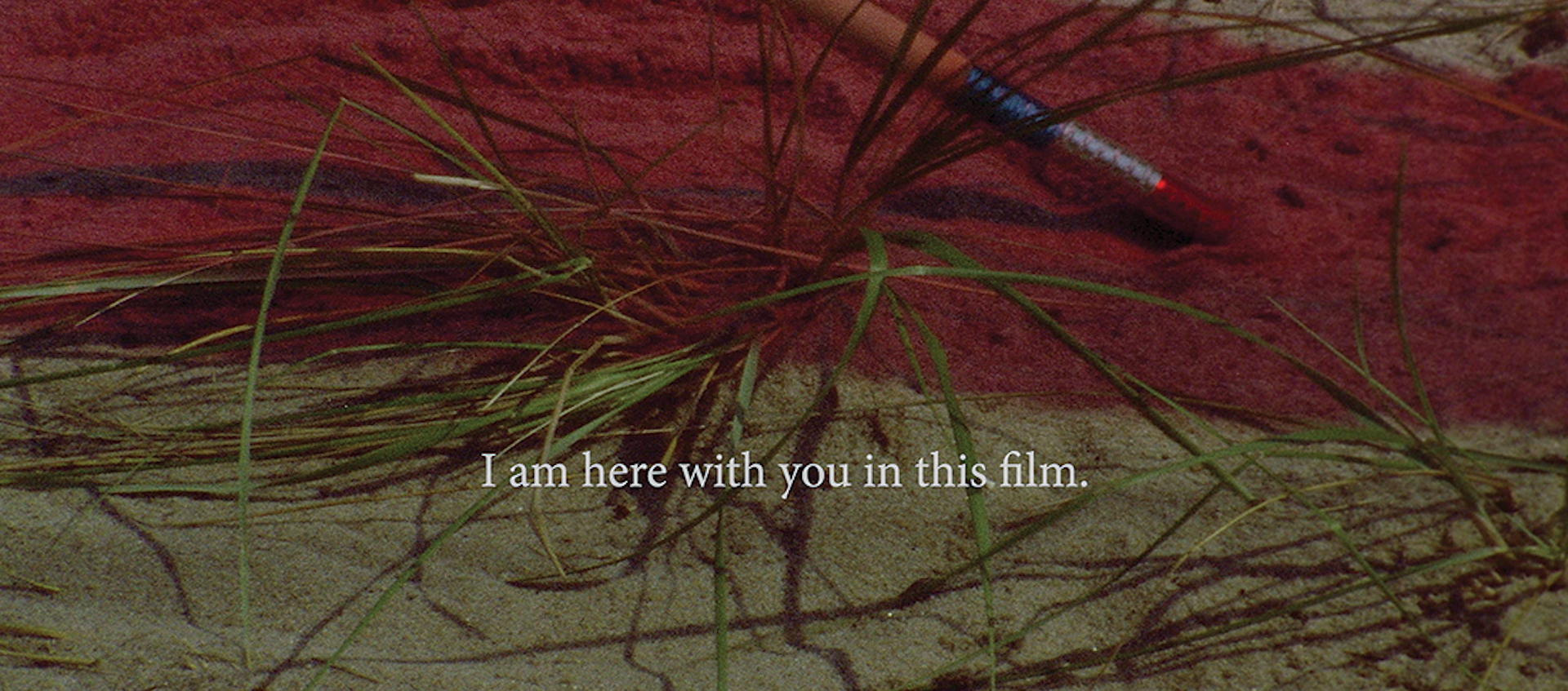 Still from the film A Month of Single Frames, a collaboration between filmmakers Barbara Hammer and Lynn Sachs